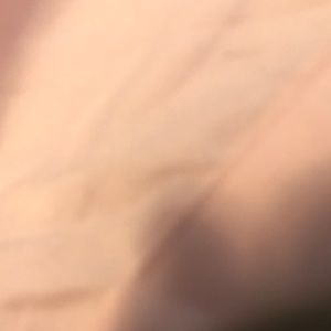 Meet your Posher, Abbey